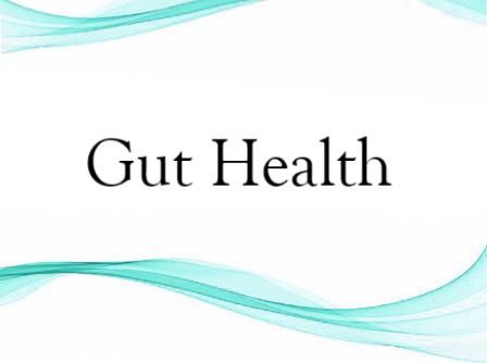 Gut Health Test